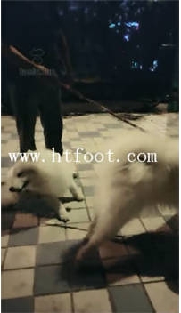 TL14433 林夕女王在公园开发陌生路人成为M60分钟