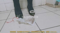 20385 捉住一对狗男女，哚儿把他们变小成蛐蛐 肆意践踏残忍杀害{劲爆剧情}