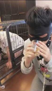 TL6110 歌迪丝 双奴：首调学生狗赏赐升水