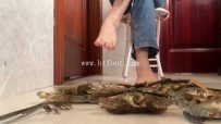 31706  C1833 - 嘟嘟马丁靴和白鞋踩喷螃蟹