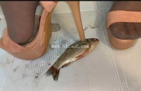 31250  昕馨 女生灰丝超高跟VS多条小鲫鱼