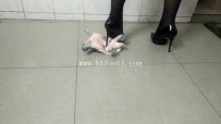 24092 黑高黑丝残忍爆剁甲鱼王八